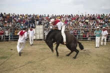 El rodeo, mezcla de tradición cultura y turismo